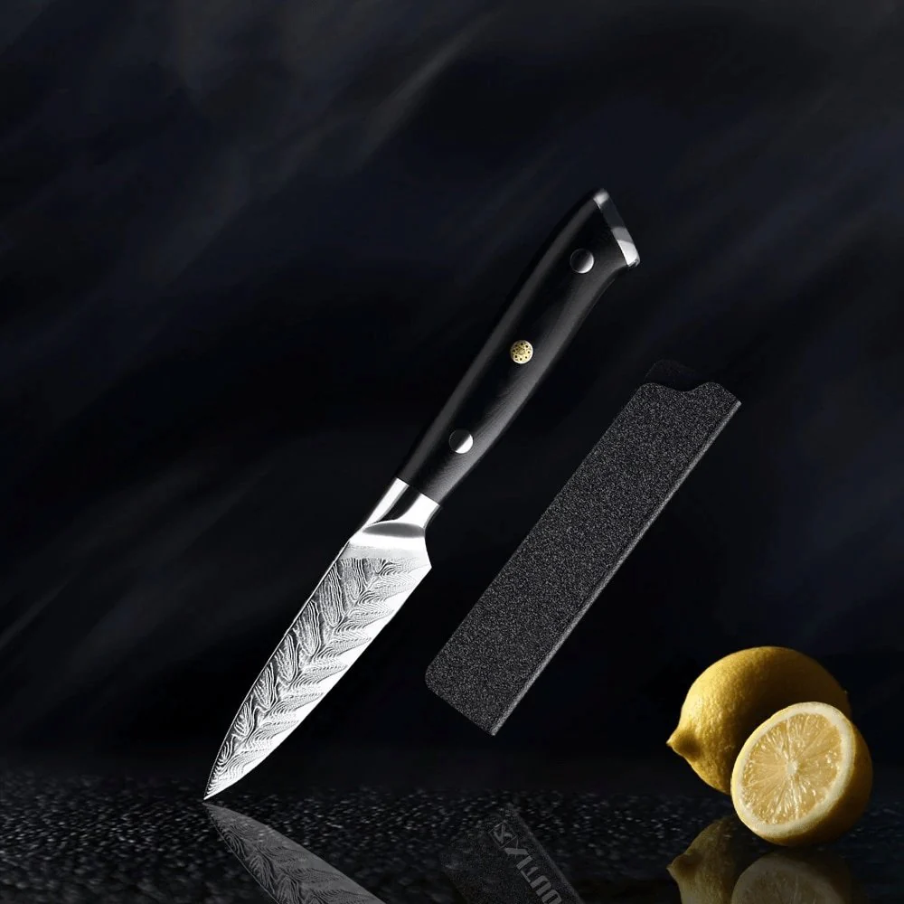Riku Damascus VG10 Knife - Image 4